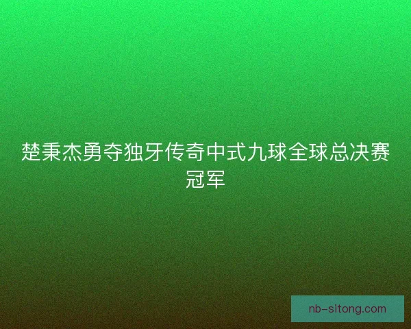 楚秉杰勇夺独牙传奇中式九球全球总决赛冠军