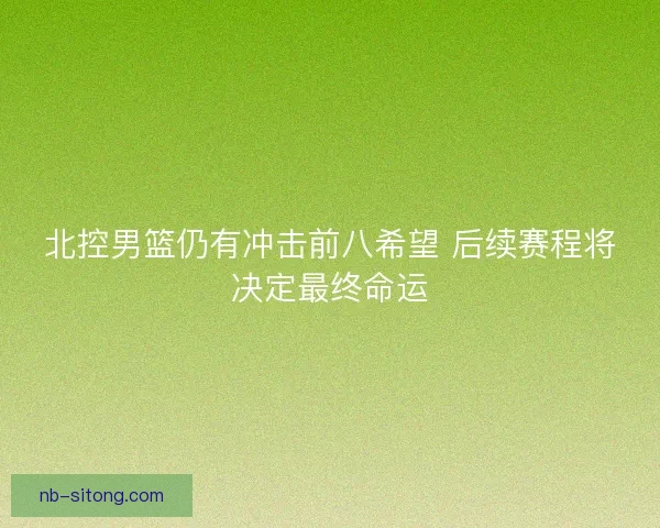 北控男篮仍有冲击前八希望 后续赛程将决定最终命运