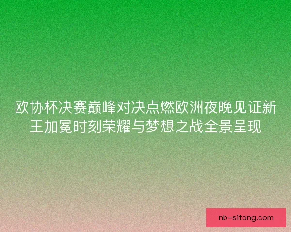 欧协杯决赛巅峰对决点燃欧洲夜晚见证新王加冕时刻荣耀与梦想之战全景呈现
