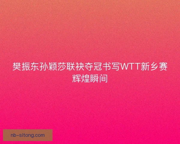 樊振东孙颖莎联袂夺冠书写WTT新乡赛辉煌瞬间
