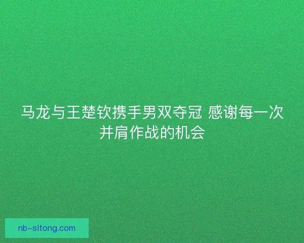 马龙与王楚钦携手男双夺冠 感谢每一次并肩作战的机会
