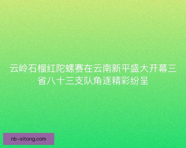 云岭石榴红陀螺赛在云南新平盛大开幕三省八十三支队角逐精彩纷呈